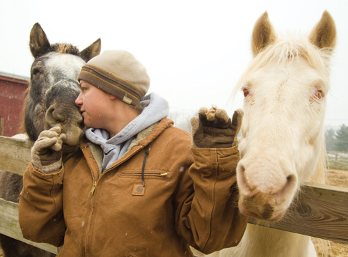 Home, Home at Last Carroll County’s Blind Horse Refuge