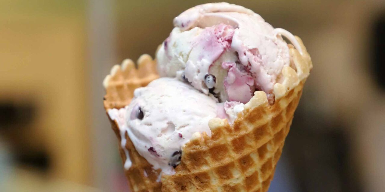 Norwood Ice Cream & Candy Company: Creative Delights