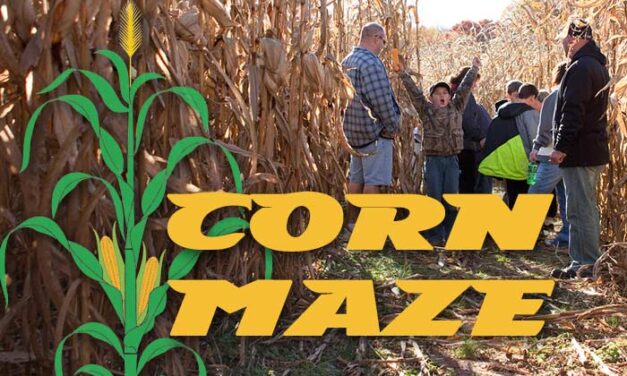 Carroll County Ag Center Corn Maze