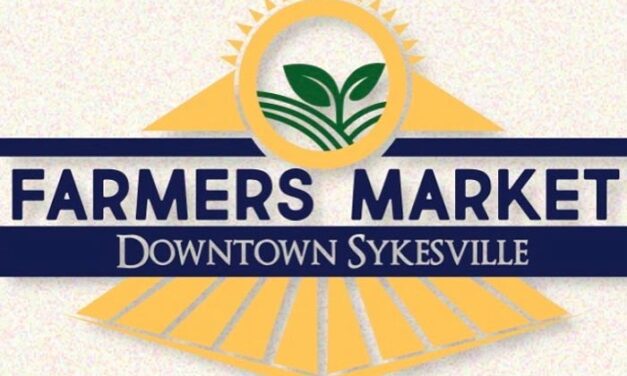Sykesville Farmers Market (Sundays 9AM-1PM)