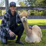 Alpaca Adventures